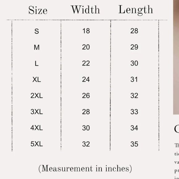 Coquette Teacher NEW white short sleeve shirt - Picture 2 of 2